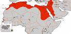 Fatimid Empire