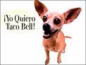 Taco Bell Dog